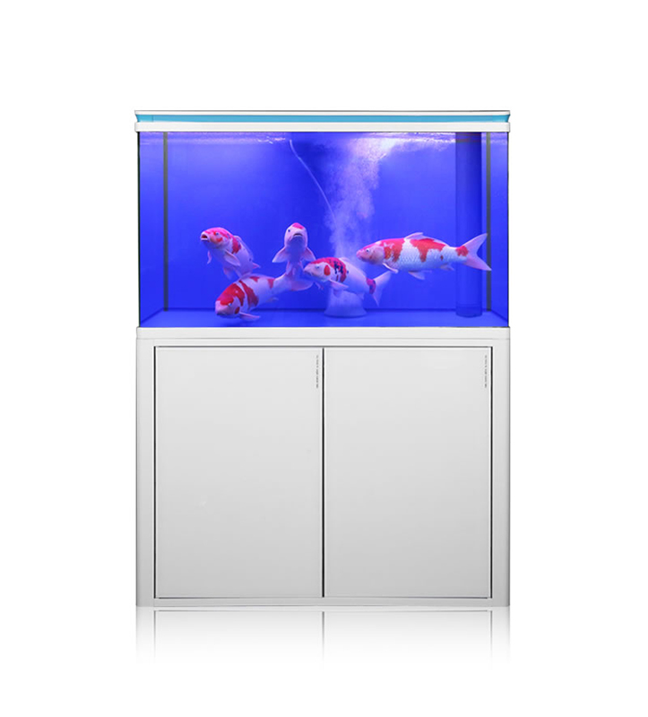 How do you create a balanced ecosystem within aquarium big fish tanks to mimic natural habitats?